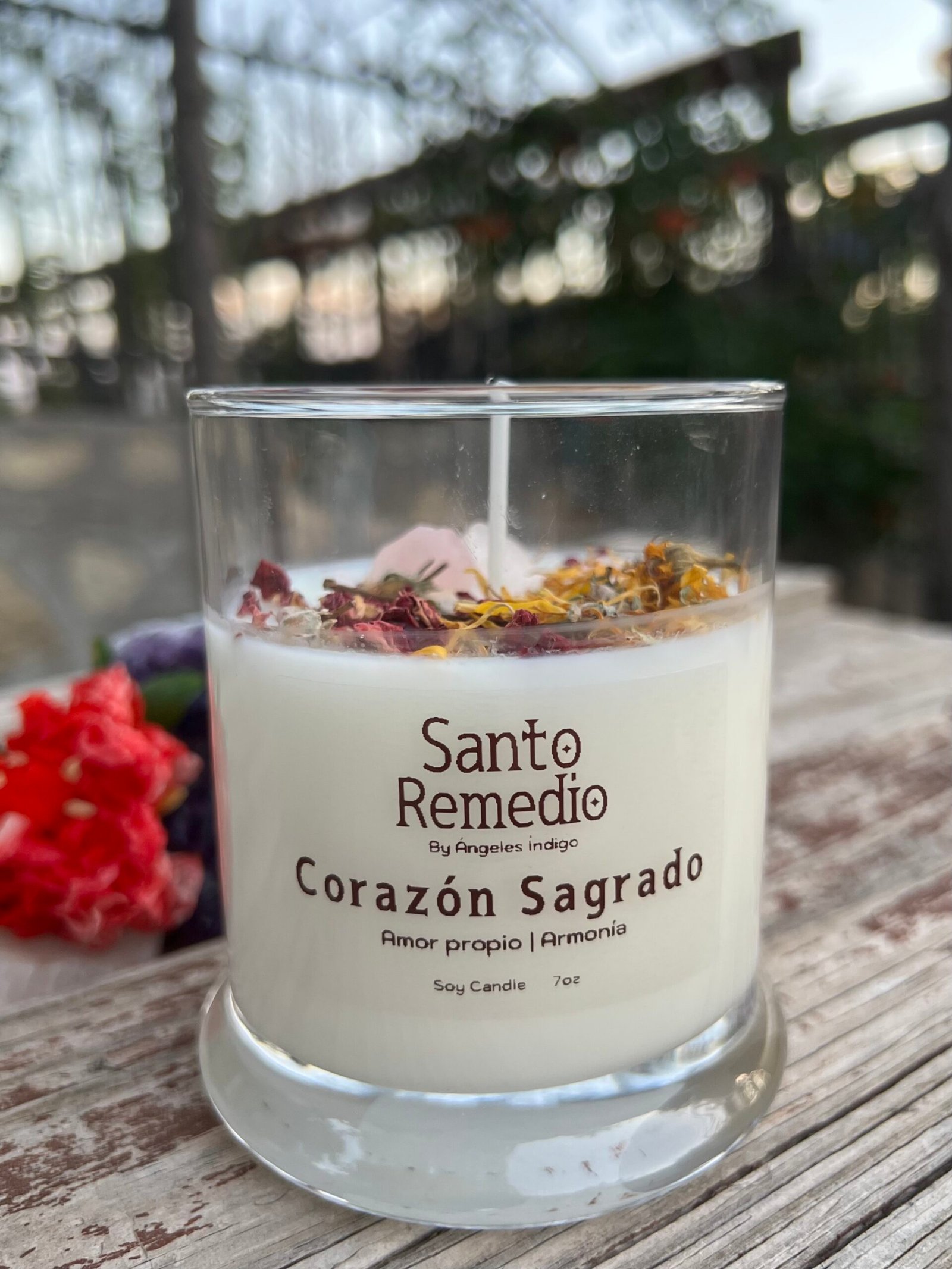 Santo Remedio Corazón Sagrado