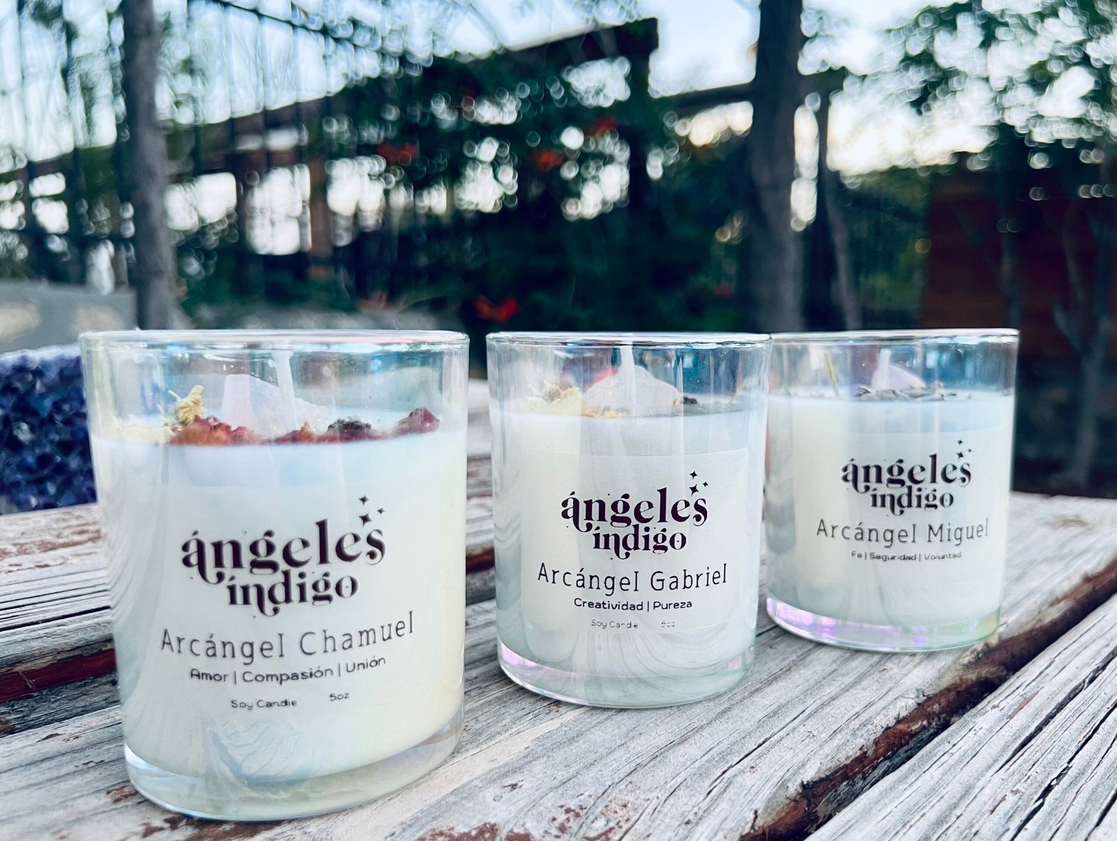 Santo Remedio Corazón Sagrado - Image 3